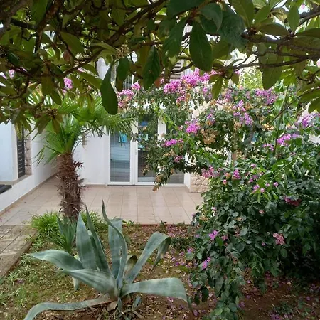 Lipa Apartment *